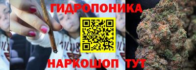 стафф Будённовск