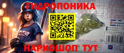 стафф Будённовск
